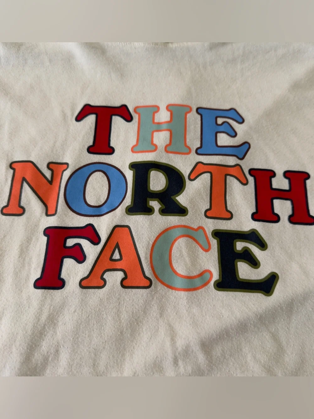 North Face Lightweight Hoodie Men’s Large Long Sleeve Casual Pullover Gorpcore